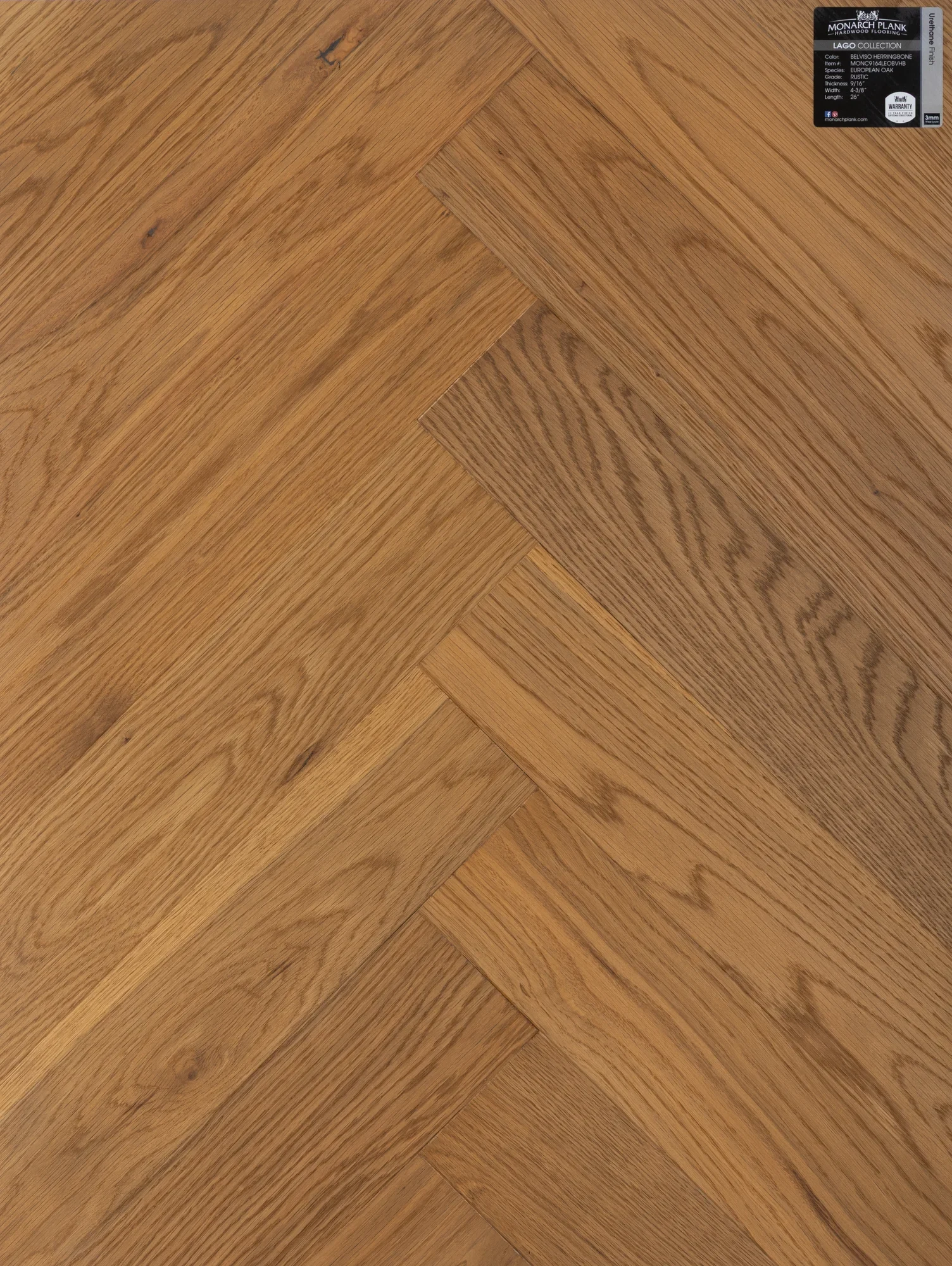 Belviso – Medium European Oak Engineered Hardwood flooring, Lago - Herringbone collection by Monarch Plank