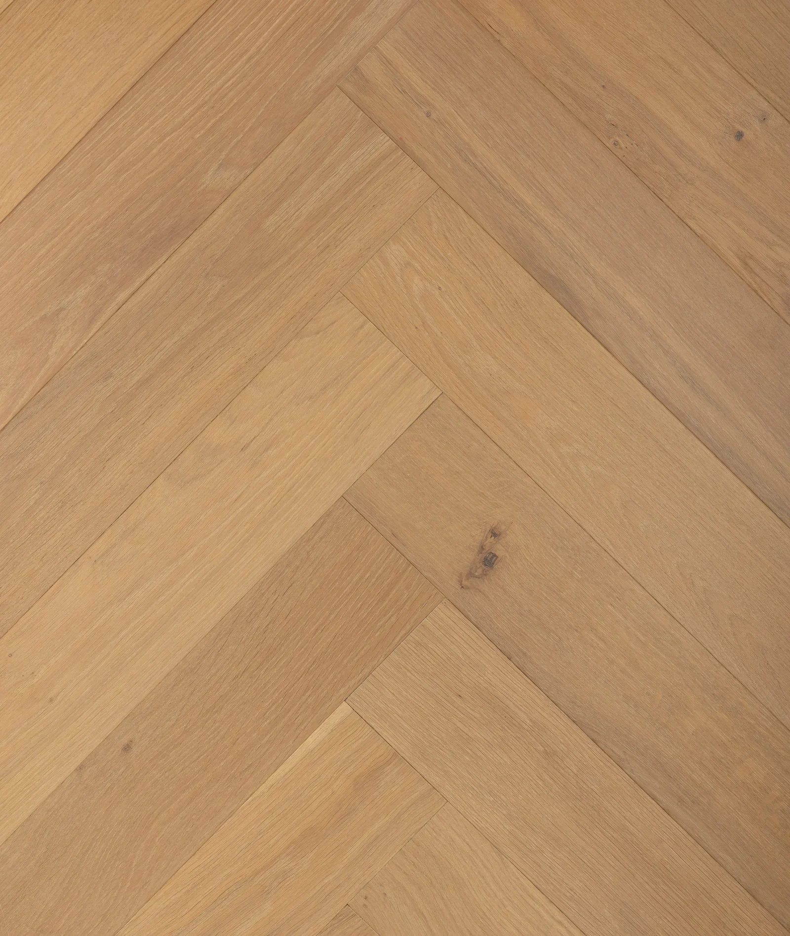 Bolsena – Warm European Oak Engineered Hardwood flooring, Lago - Herringbone collection by Monarch Plank