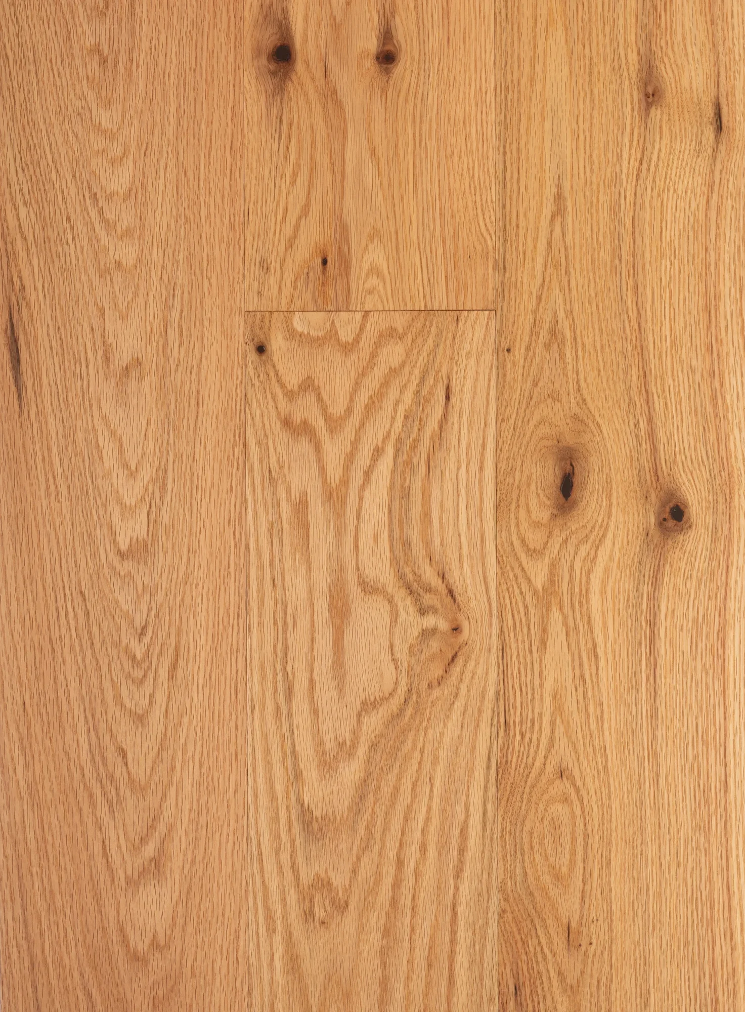 Red Oak Natural - Light Rustic – Natural Red Oak Engineered Hardwood flooring, Vinland collection by Monarch Plank