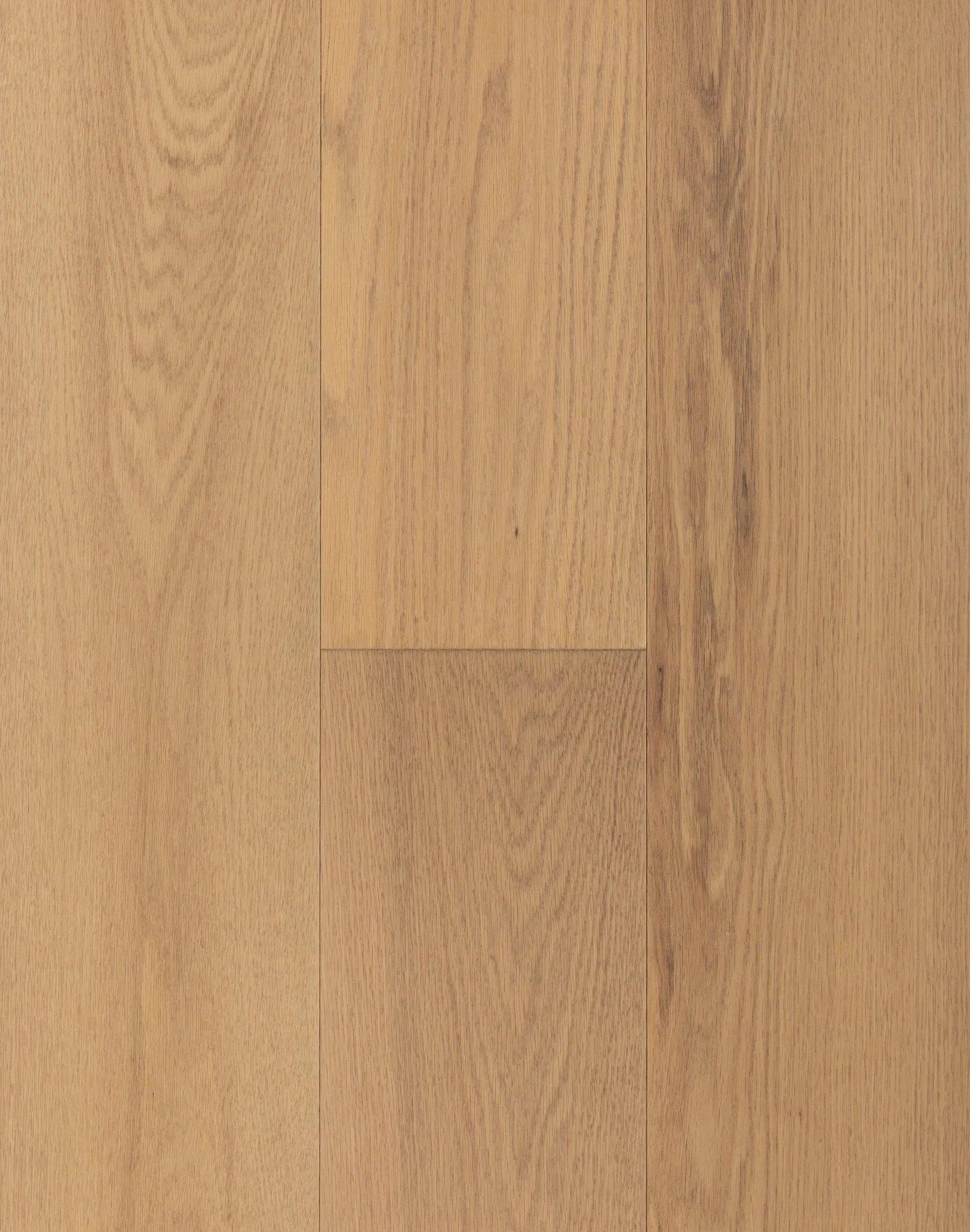 Bella – Natural Red Oak Engineered Hardwood flooring, Premio collection by Monarch Plank