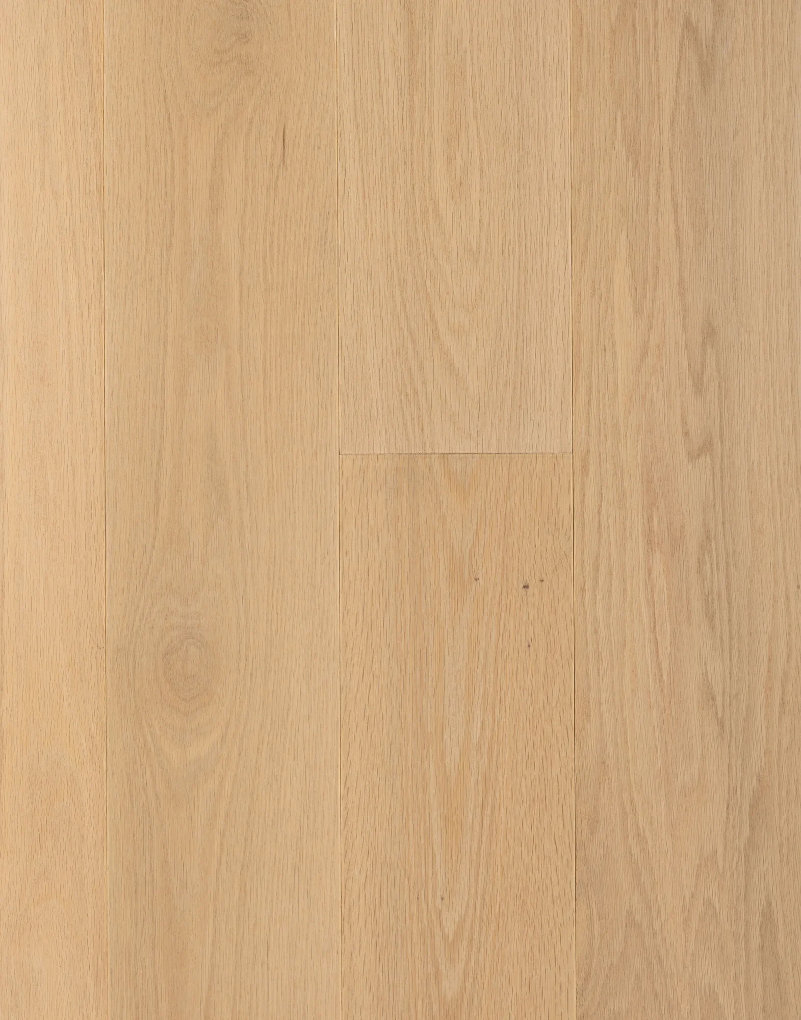 Vento – Natural Red Oak Engineered Hardwood flooring, Premio collection by Monarch Plank