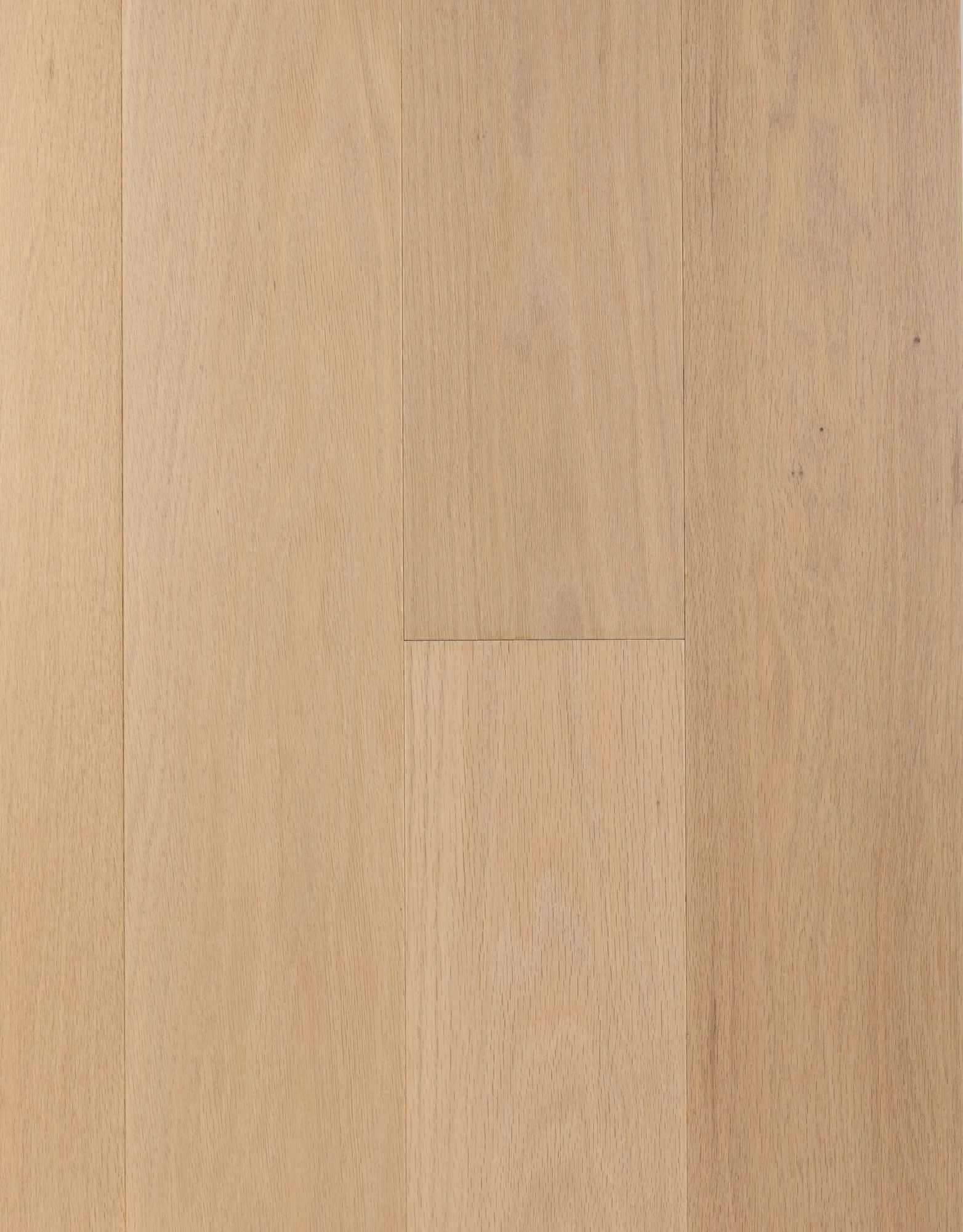 Duna – Natural Red Oak Engineered Hardwood flooring, Premio collection by Monarch Plank