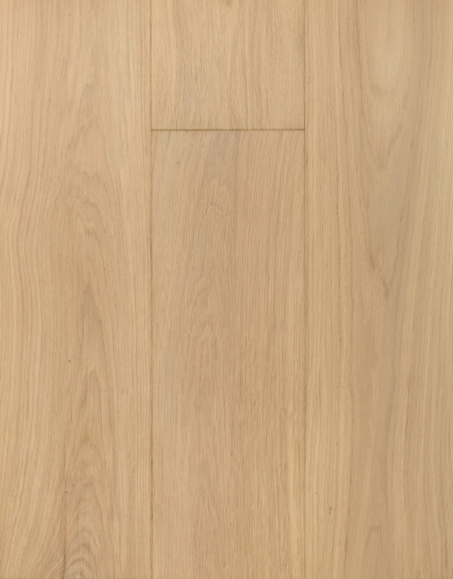 Isabella – Natural European Oak Engineered Hardwood flooring, Regent collection by Monarch Plank