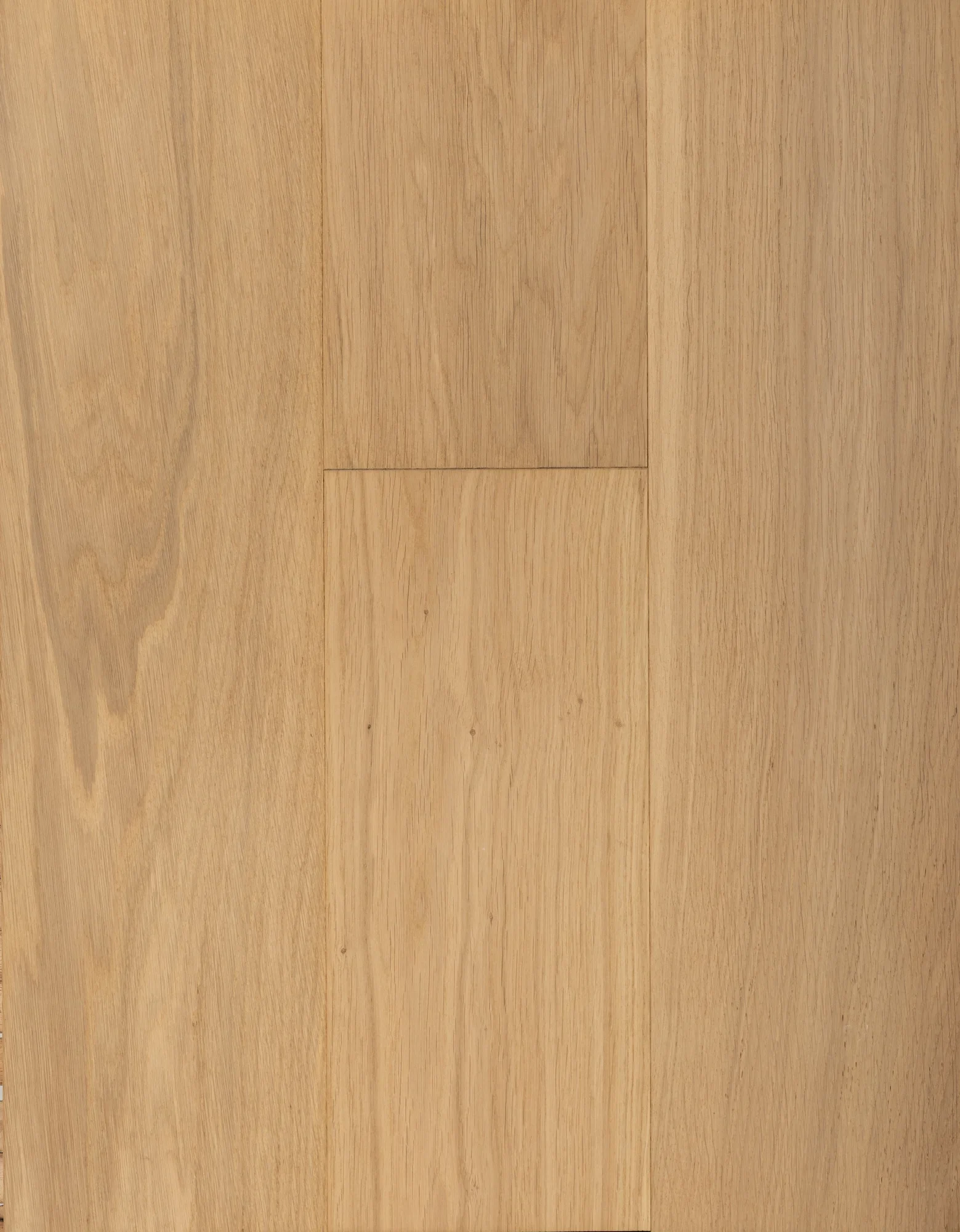 Carolina – Natural European Oak Engineered Hardwood flooring, Regent collection by Monarch Plank