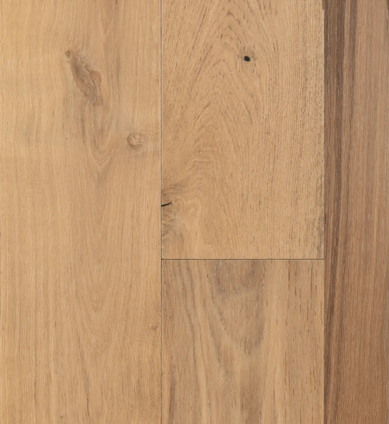 Tristan – Natural European Oak Engineered Hardwood flooring, Avalon collection by Reward Hardwood