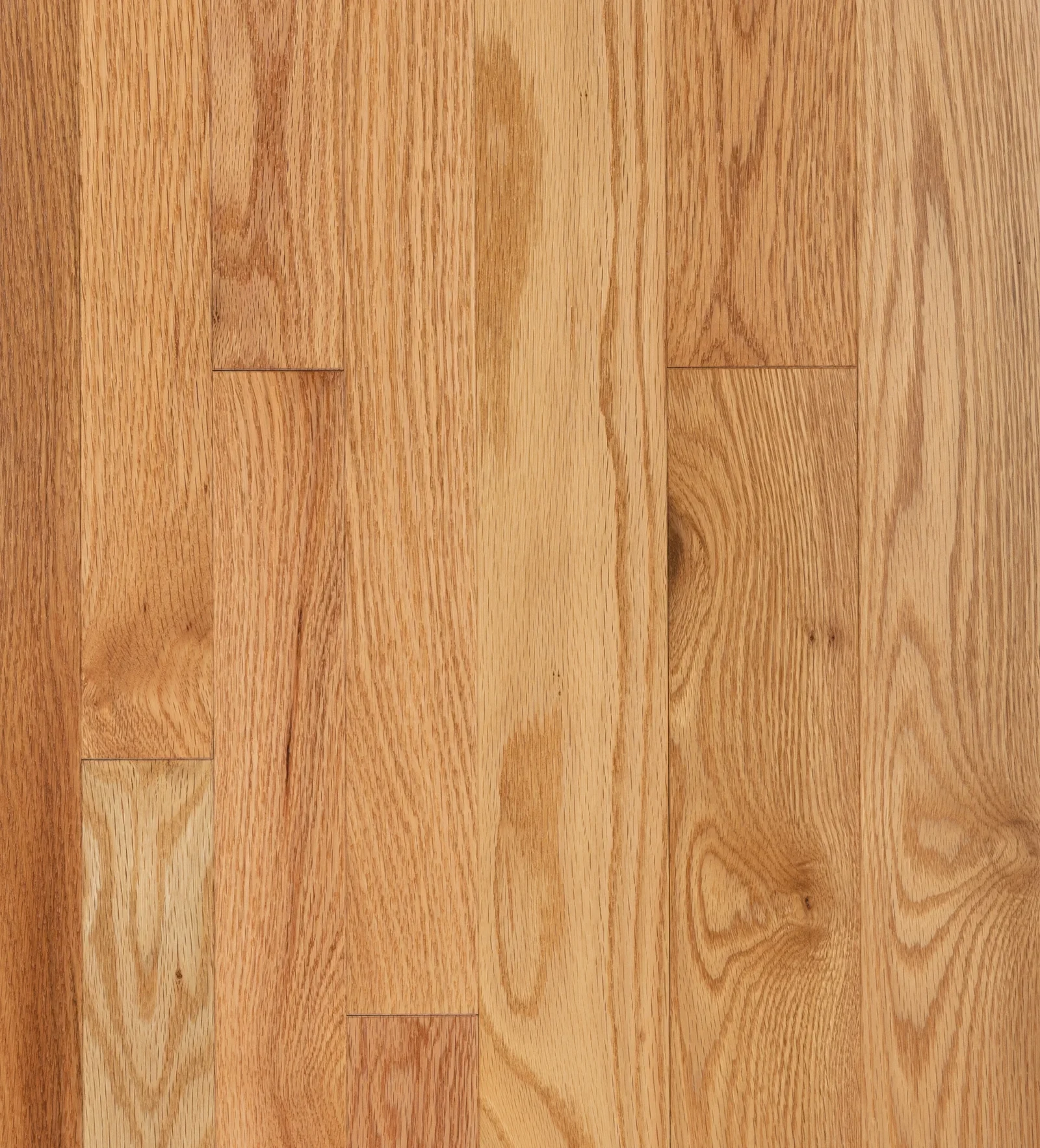 Red Oak Natural 2-1/4" – Warm Red Oak Solid Hardwood flooring, Heritage collection by Reward Hardwood