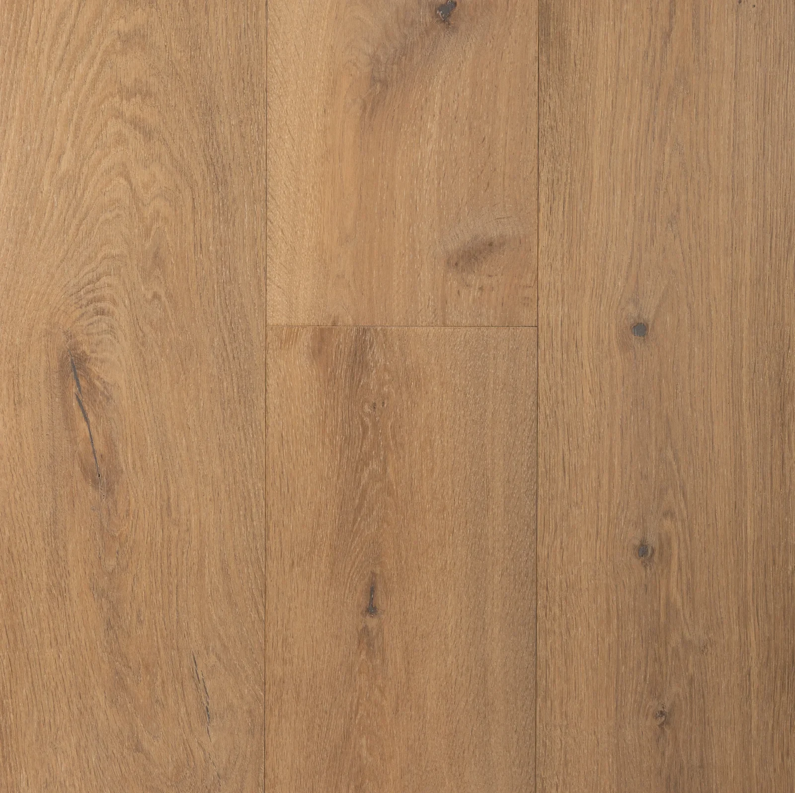 Fiori – Warm European Oak Engineered Hardwood flooring, Terreno collection by Reward Hardwood