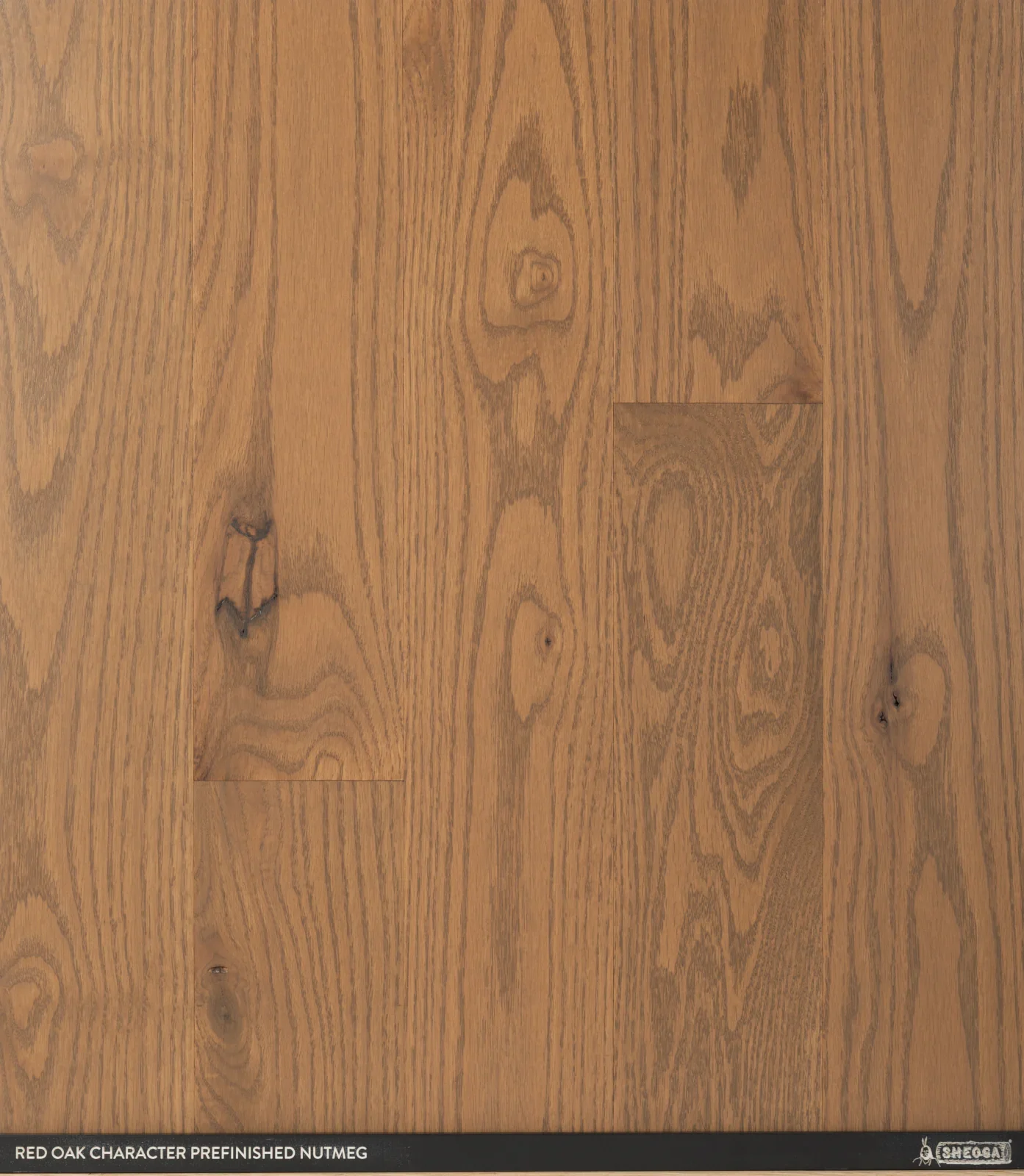 Sheoga Character Red Oak Nutmeg prefinished solid hardwood flooring sample